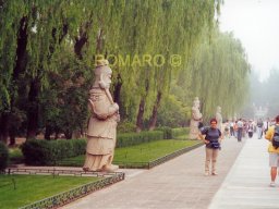 Peking 2000  0066
